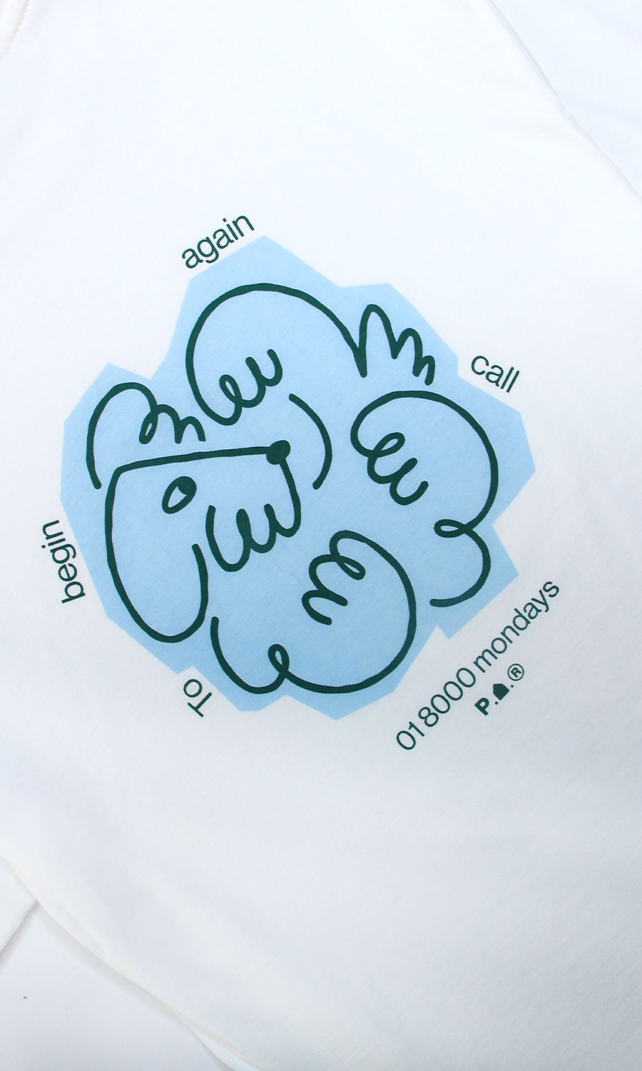 Camiseta Begin Again